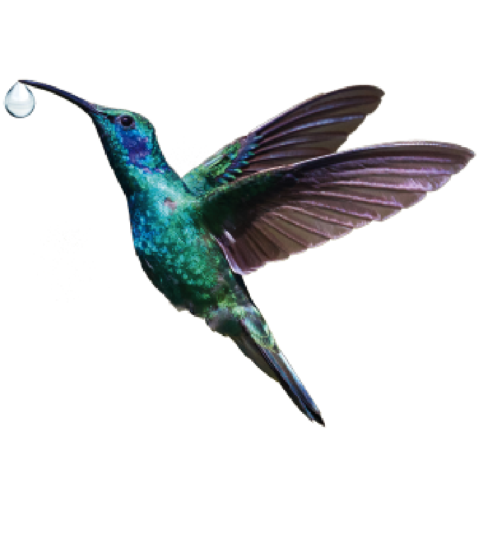 SALVIAMO IL FUTURO INSIEME